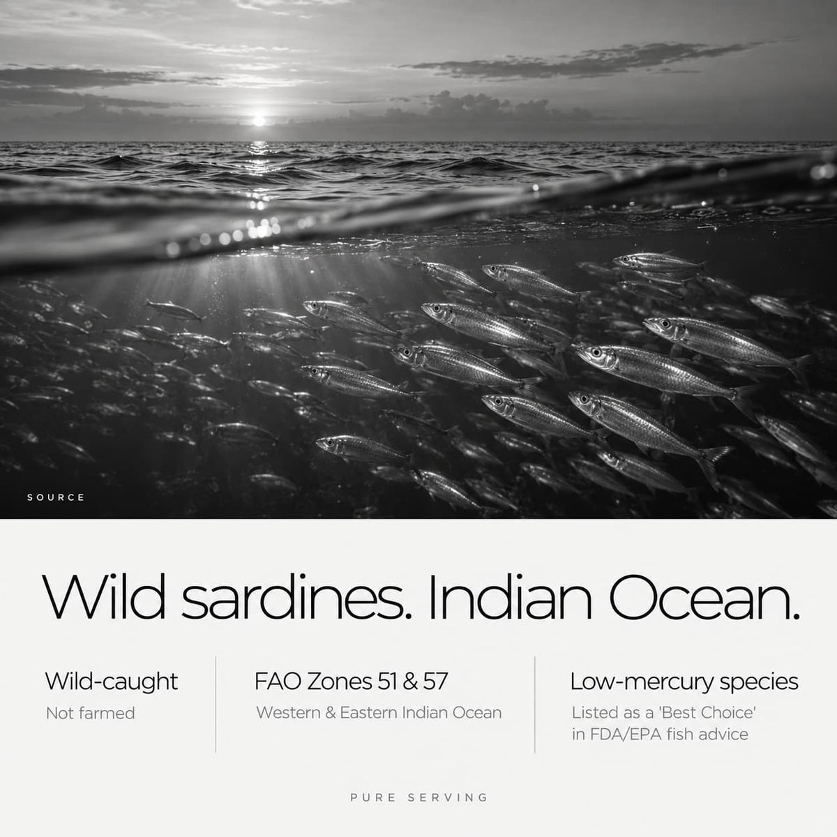 Source: wild-caught sardines from the Indian Ocean, FAO fishing zones 51 and 57